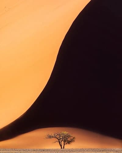 ظل الكثبان